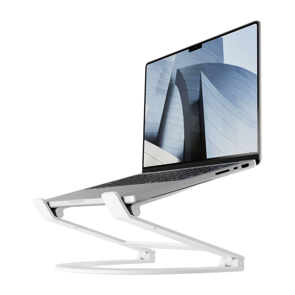 Twelve South Curve Flex